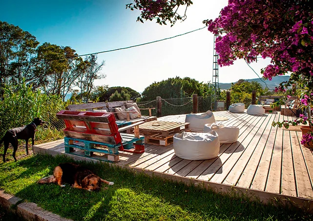 THE_WILD_HOUSE_FOTO_3_3