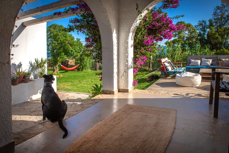 fe539e_120656d18f38474ba237bd83c4c221a2~mv2