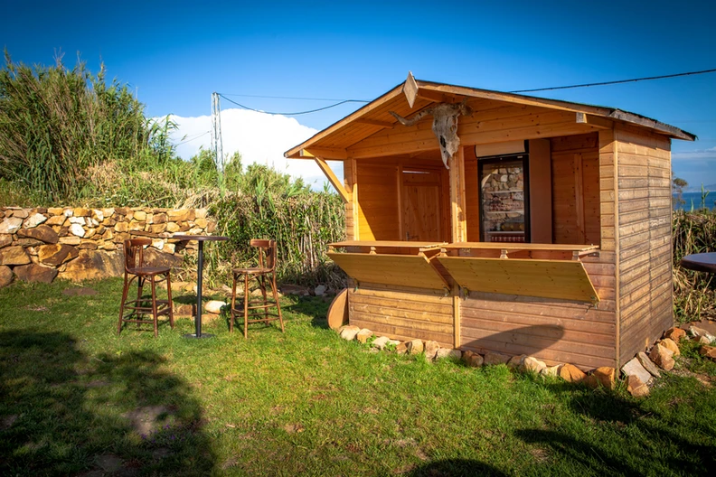 fe539e_9816fe7b9634400a81fffa786c0c98a0~mv2